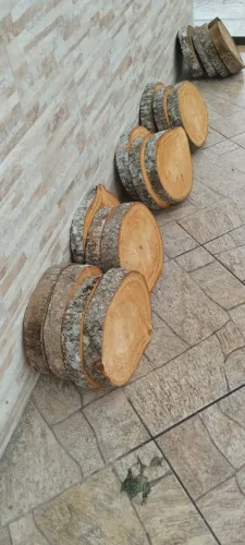Bolachas de madeira