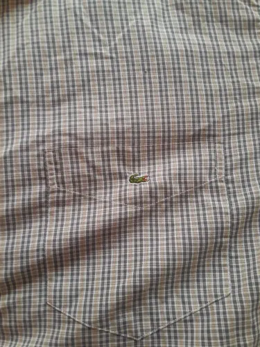 camisa estilosa lacoste