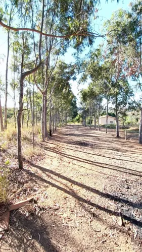 Sítio Fazendinha 72.000m2, 7.2 Hectares, Zona Rural - Paraopeba / Caetanópolis