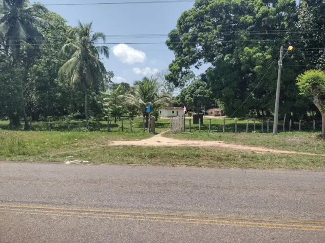 Terreno em São Francisco - Jambuaçú - 123 Hectares frente pro asfalto - Plantação de Açaí