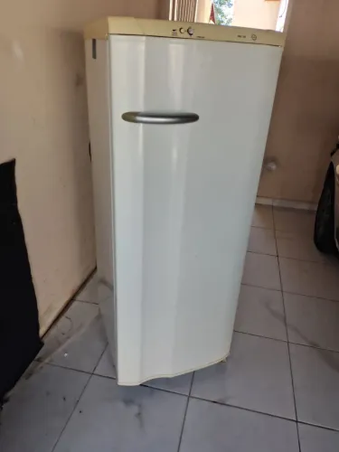 Geladeira Electrolux degelo automático 127w