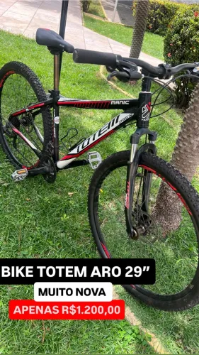 Bike TOTEM ARO 29