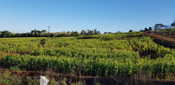 Chácara 1.146 m2 próximo ao Aeroporto Regional de Maringá,R$ 169.800,00