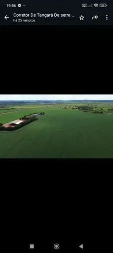 Fazenda 650 hec em novo mundo MT. 25 milhão.
