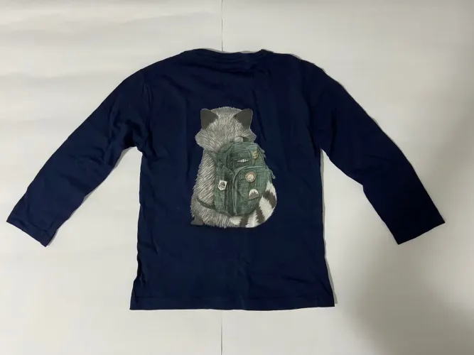 Camiseta Manga Longa Infantil Raccoon Aventura