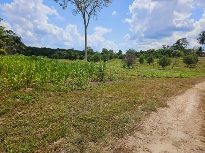 Fazenda 2.500 x 5.000 BR 174 KM 43 7.000.040,00