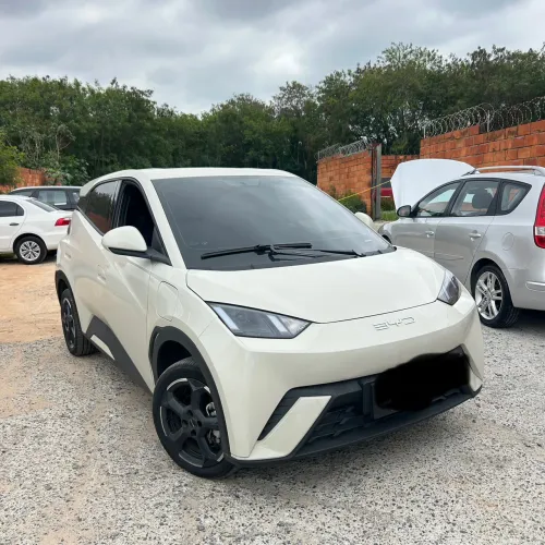 BYD Dolphin Mini (Elétrico) 2024