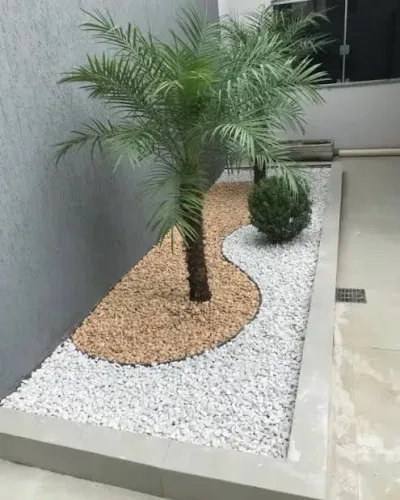 Jardim elegante com palmeira e pedras