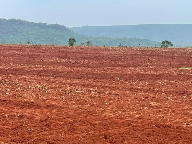 Fazenda de arrendamento soja, 5 mil hec, 4 mil plantando já