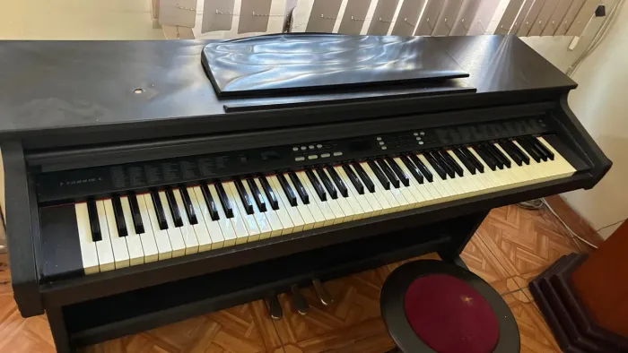 Piano Digital Fenix TG8815 Completo com Banqueta e Pedais