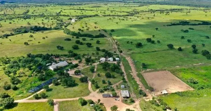 FAZENDA BARREIRO DO ONÇA - TOCANTINS