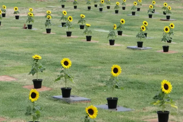 Jazigo Memorial Parque dos Girassóis Ribeirão Preto