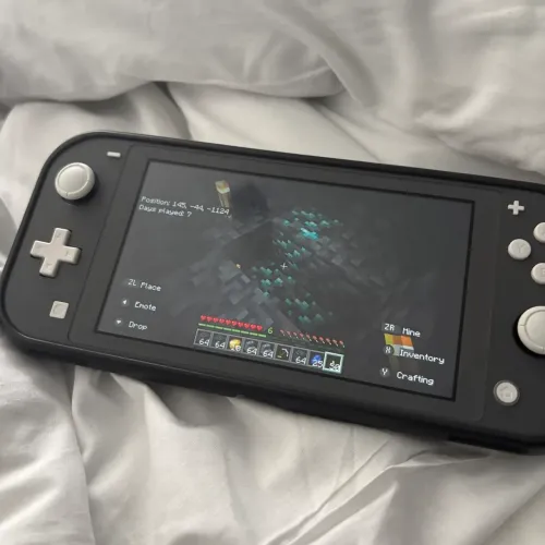 Nintendo Switch Lite