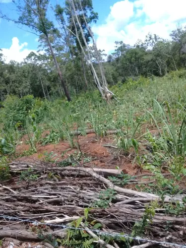 Vendo excelente terreno, terra produtiva.
