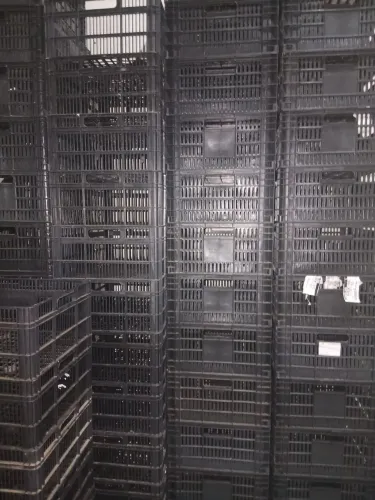 Lote de caixas plásticas para Hortifrúti/Organização - Ótimo Estado (10 Reais Cada)