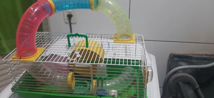 Gaiola ramister