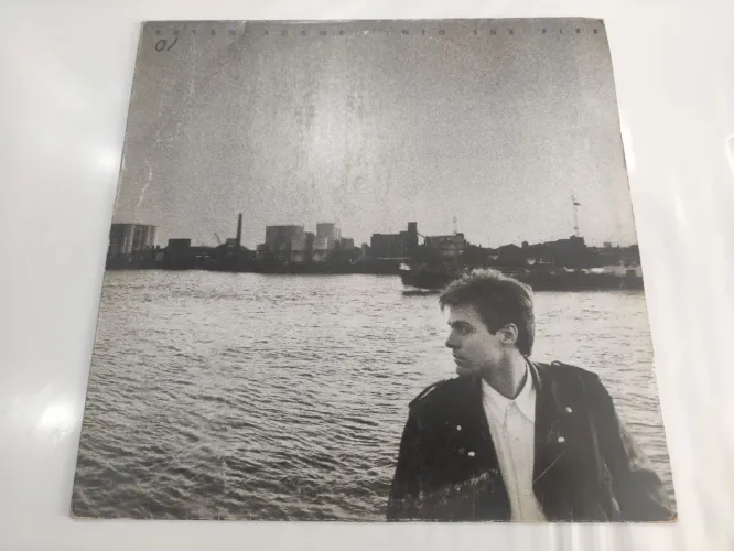 Lp Bryan Adams - Into The Fire