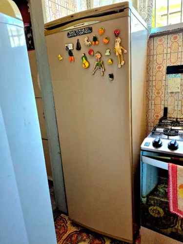 Freezer Brastemp Clean Frost Free 260 
