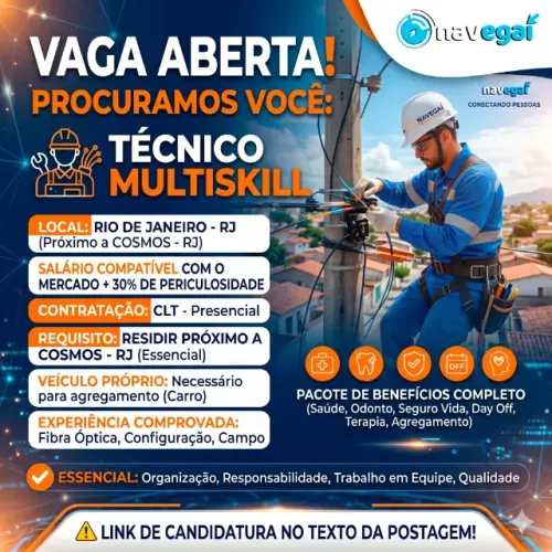Tecnico Multiskill