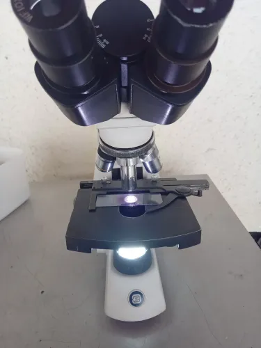 Microscópio binocular profissional