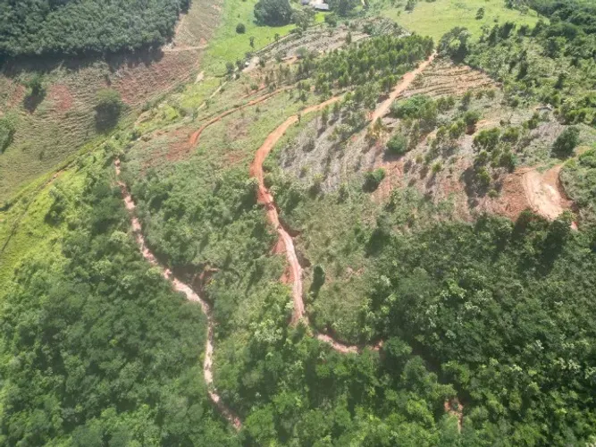 3 alq em Laranja da Terra