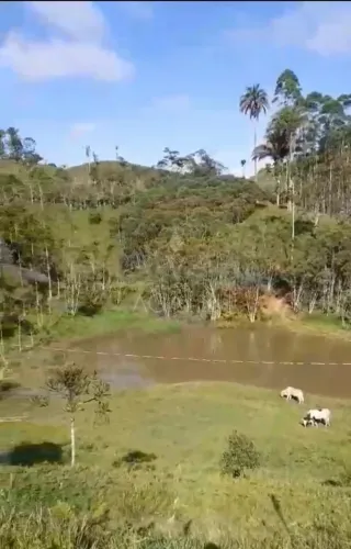 Sítio à venda, RIO PEQUENO , CAMPINA GRANDE DO SUL - PR