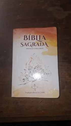 Bíblia Sagrada: Iniciação da vida Cristã