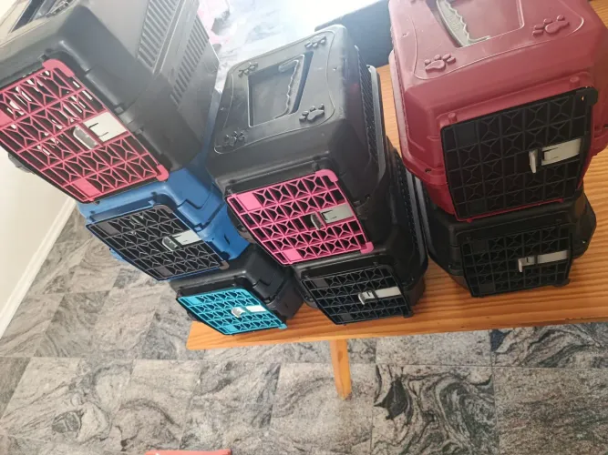 Caixa de transporte para gatos