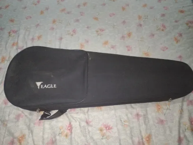 Viola de Arco Eagle VA 150 Completa (Seminova) - Pra Sair Logo!