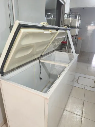 Frizzer 220V