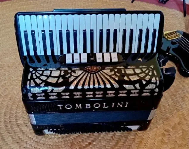 Acordeon/sanfona italiana 120bxs