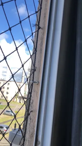 Tela de proteção 
