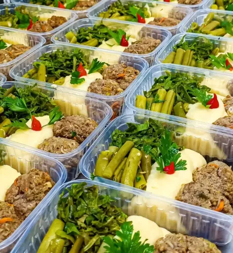 Cozinheira, comida congelada e faxineira 