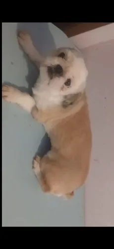 Vendo ou troco
