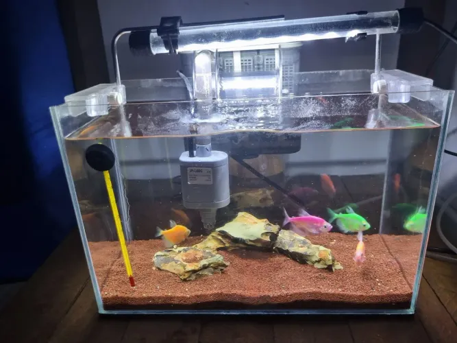 Vendo aquário completo!!!