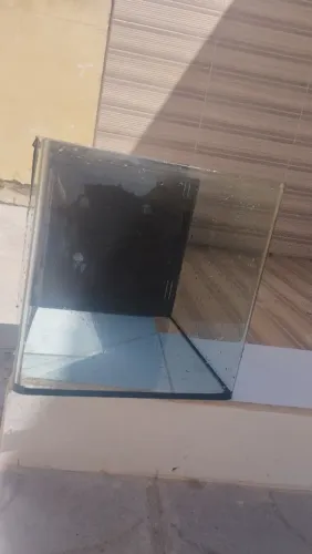 Aquário 