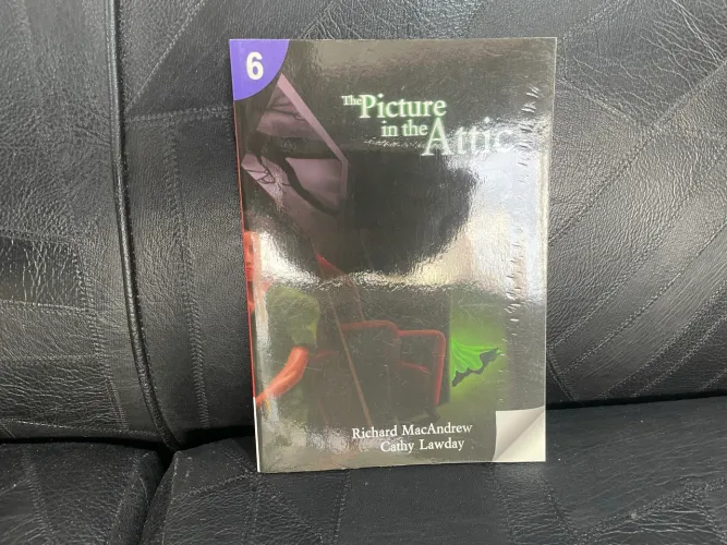 Livro The Picture in The Attic