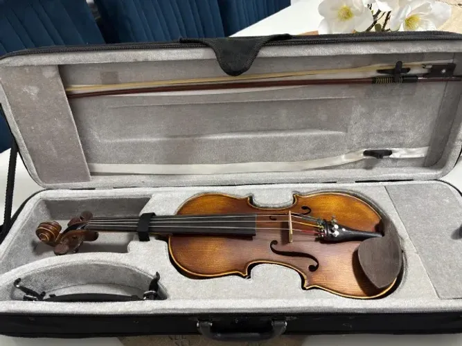 Violino Allegro