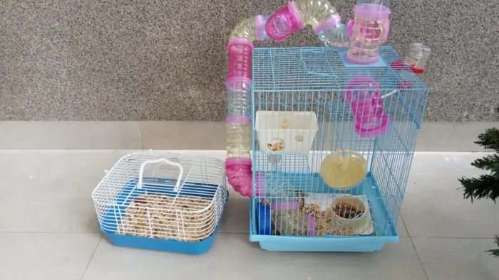 Gaiola play ground para hamster