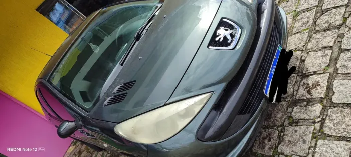 Peugeot 207 Sedan Passion XR 1.4 Flex 8V 4P 2010