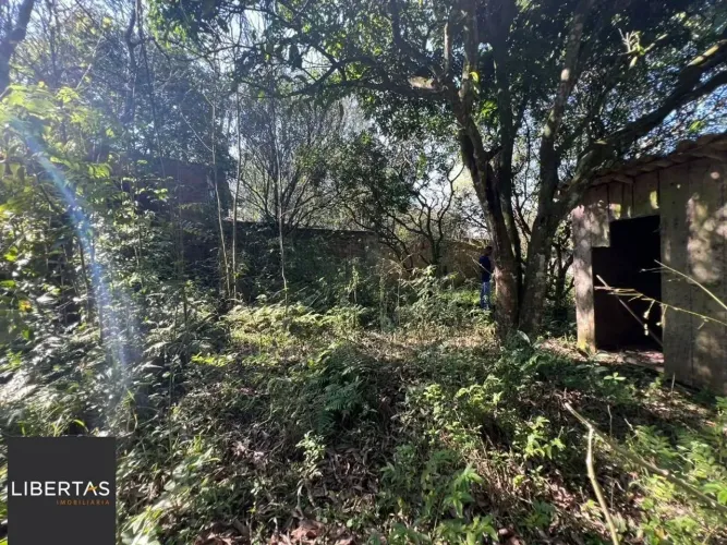 Chácara à venda, 4200 m² por R$ 300.000,00 - Neópolis - Gravataí/RS