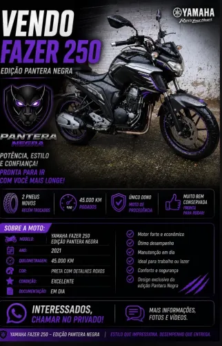 Vendo moto Fazer250 edição limitada 