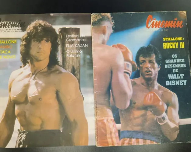 REVISTAS CENIMIM LOTE COM 10