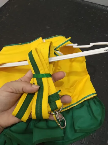 Roupinha do brasil pet