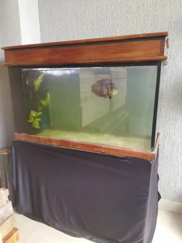Aquário 350 litros usado, completo