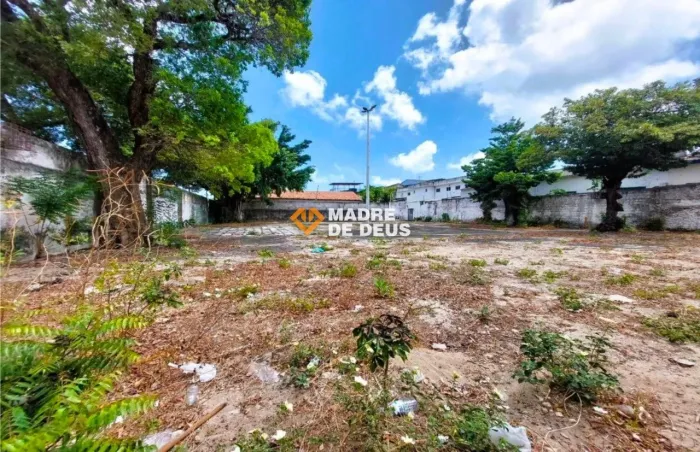 Terreno no Centro 994,84 m²