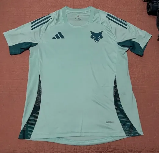 camisa de treino cruzeiro masculina 2025