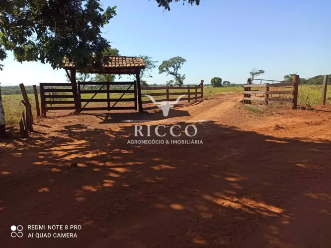 Fazenda Produtiva à Venda Jaupaci/Iporá GO | 242 hectares