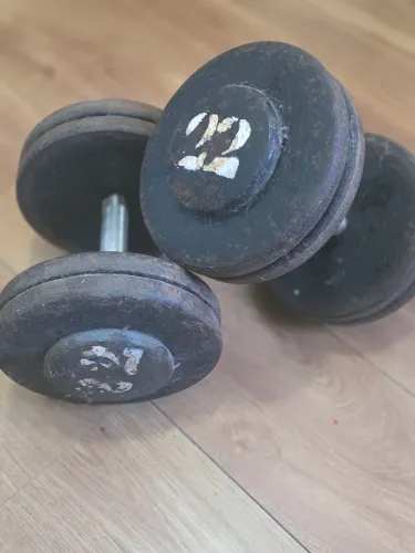 Halteres de 22kg