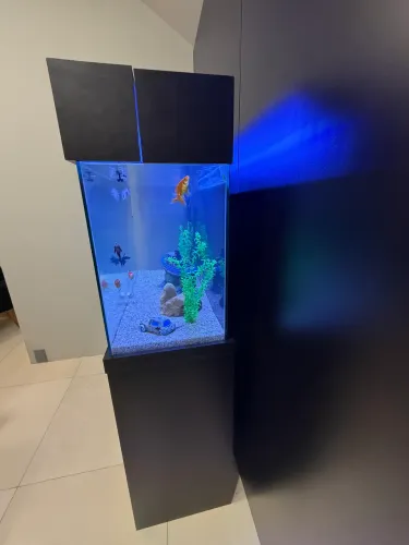 AQUARIO
